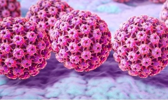 What is HPV?