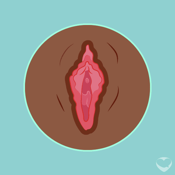 Vagina close-up