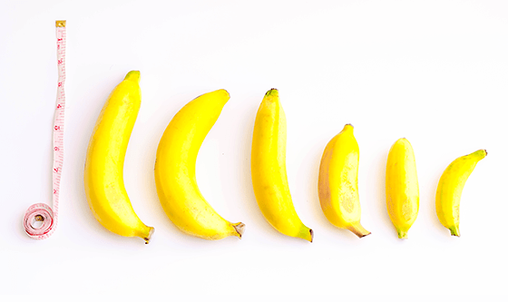 Bananas in different sizes and shapes arranged vertically