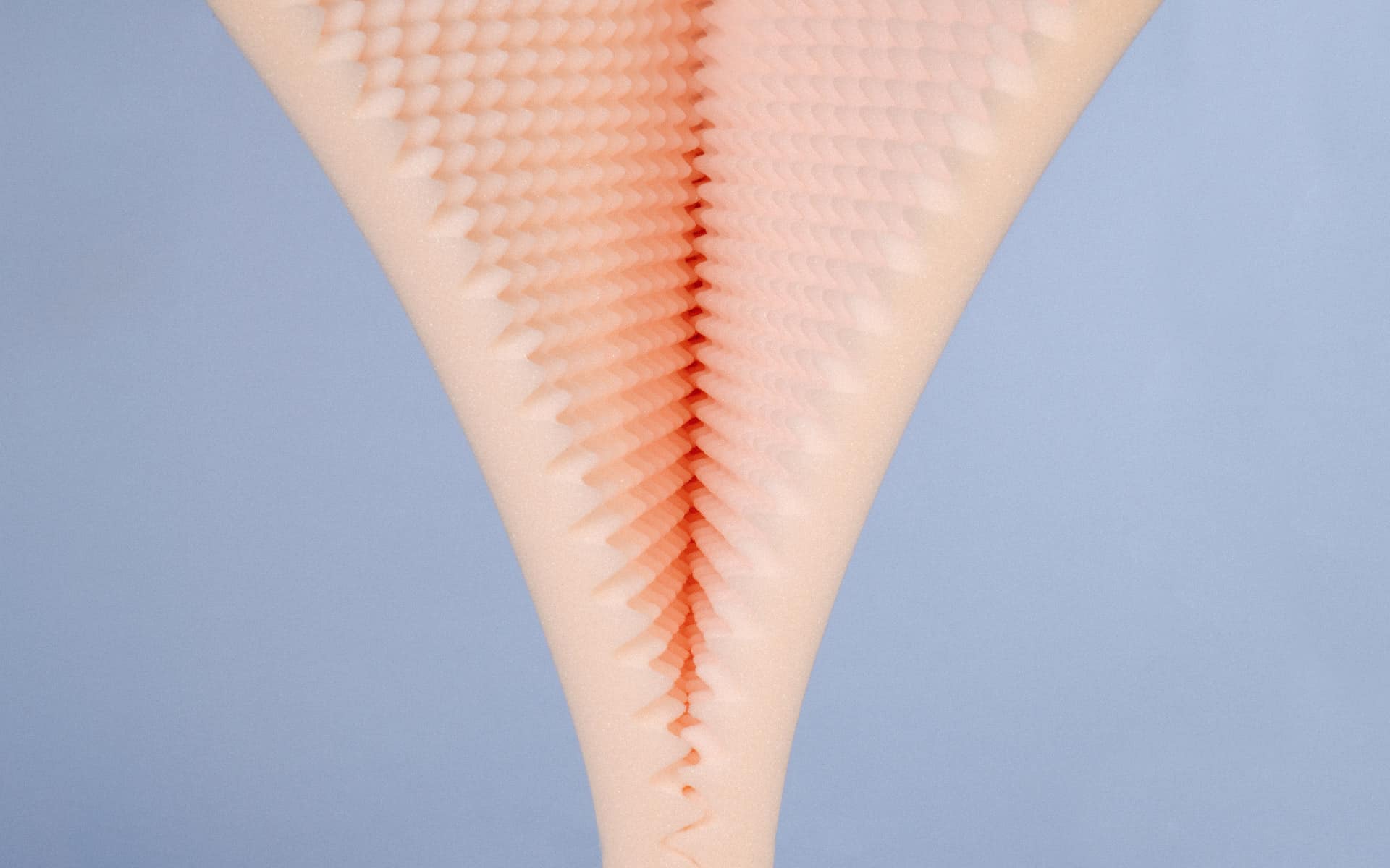 Foam pieces peeled apart to resemble a vulva 