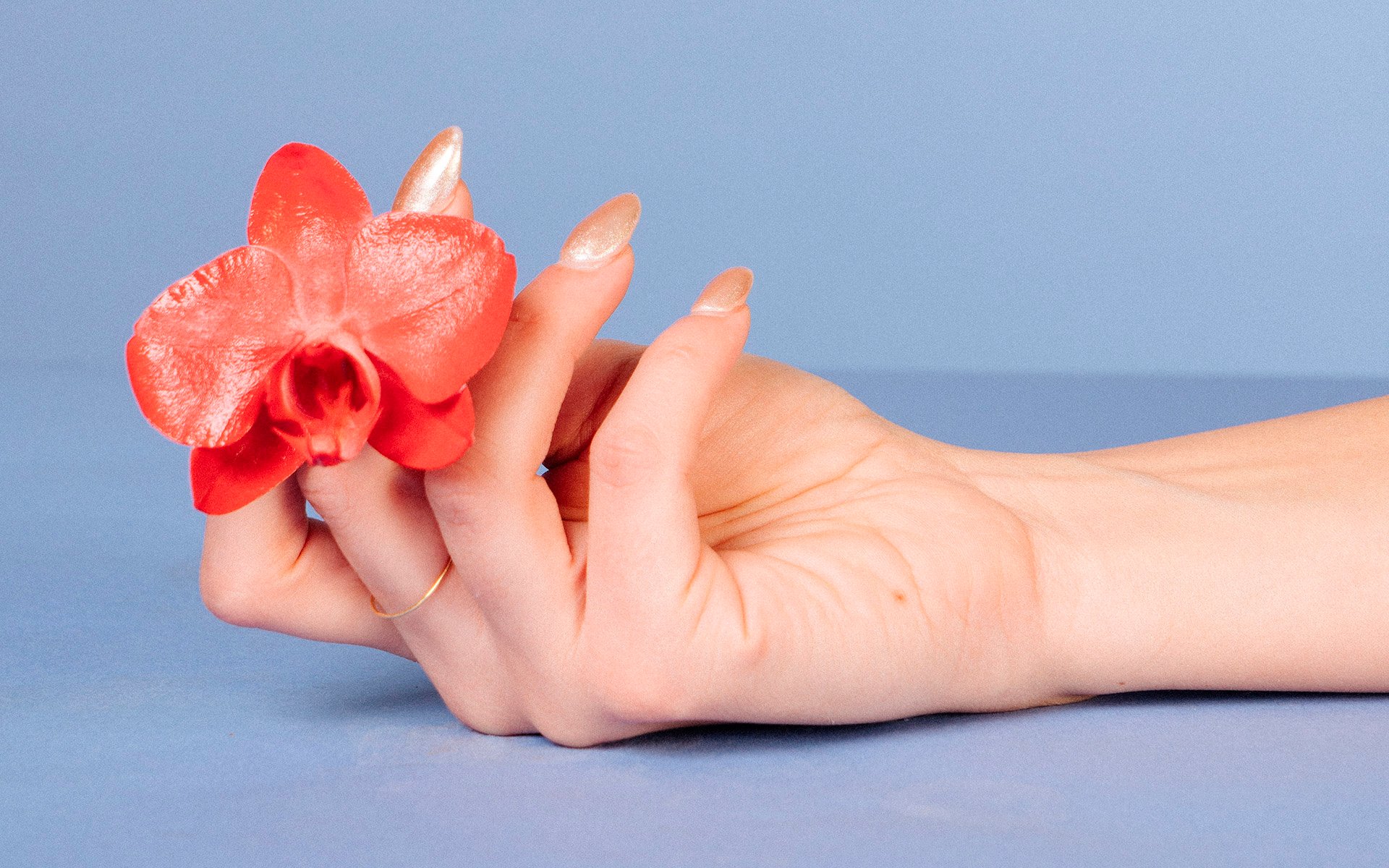 A hand loosely holding a red flower in its fingers