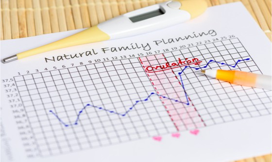 Calendar and temperature method for natural family planning 