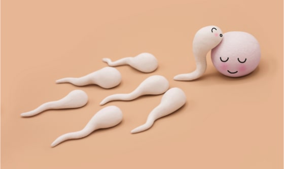 Can poor sperm quality cause miscarriage?