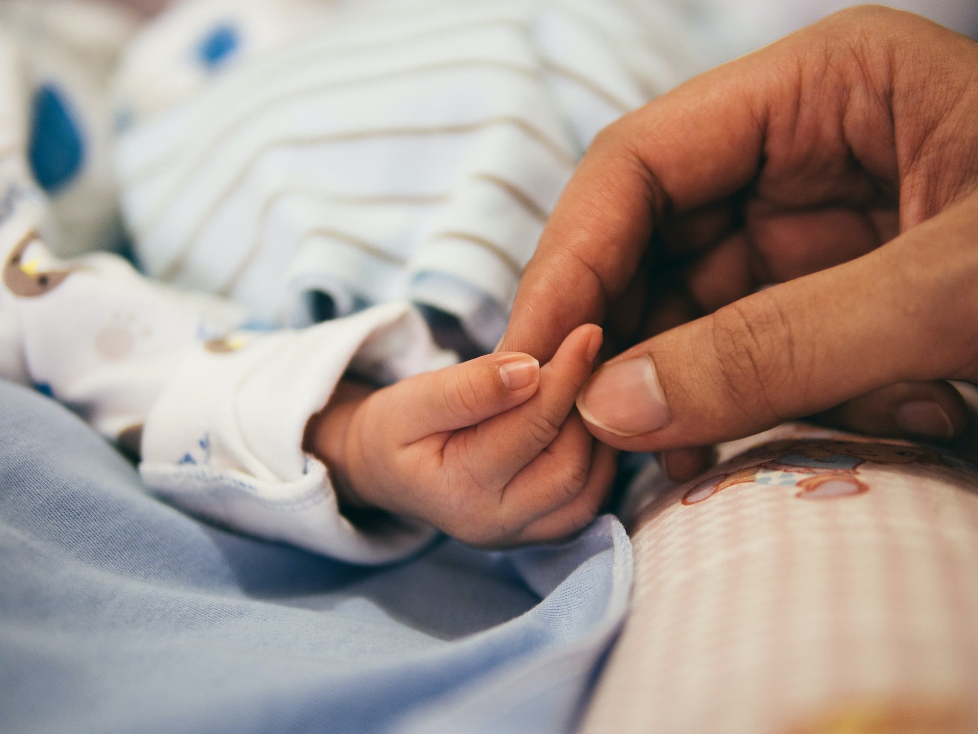 One person's hand holding a baby's hand