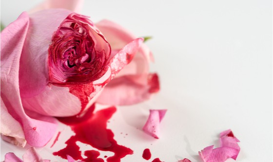 Image of a bleeding rose representing FGM