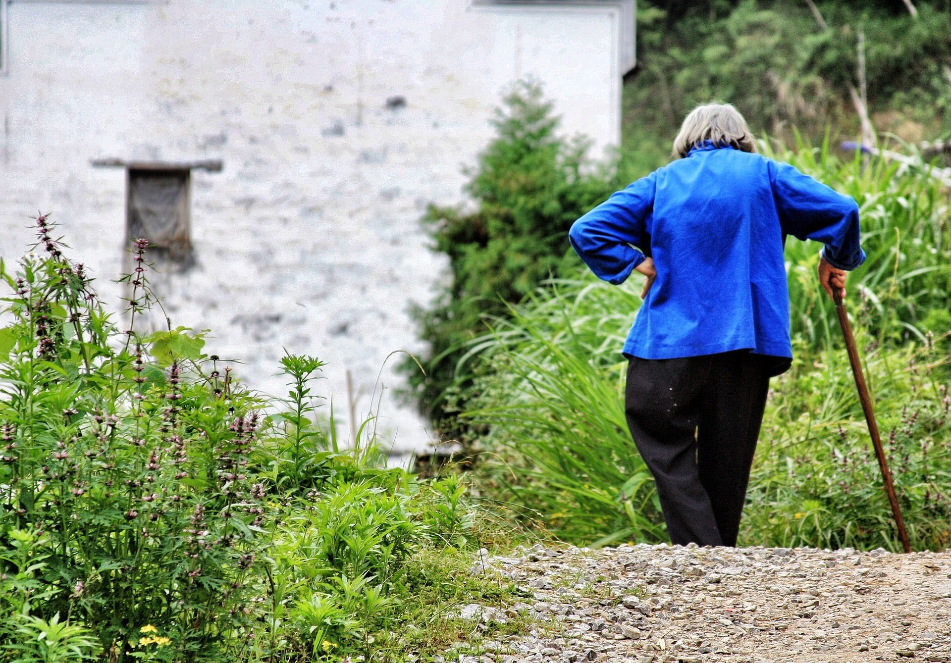 An older lady in a blue coat leaning on a cane with her back to us