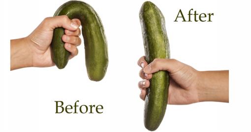 Bent and erect cucumber held by woman