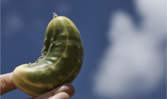 Curved gherkin against a blue sky