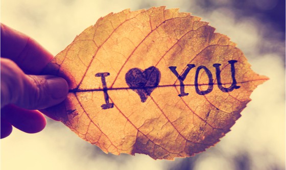 Leaf saying I love you