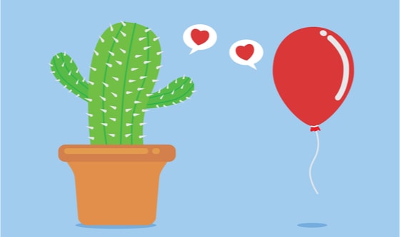 cactus and balloon falling in love
