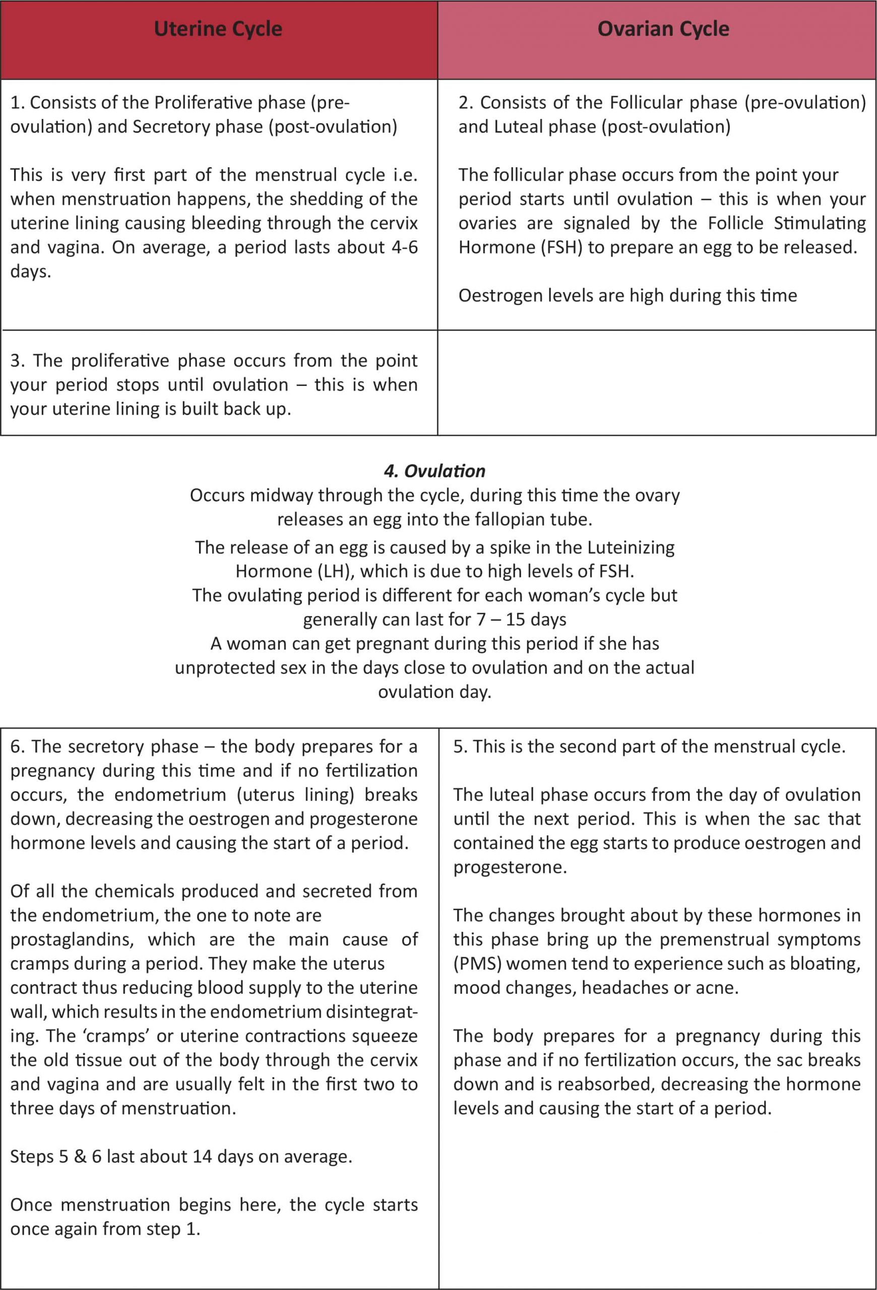 A table showing the overlapping stages of the menstrual cycle