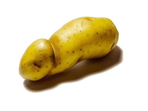 potato in shape of penis