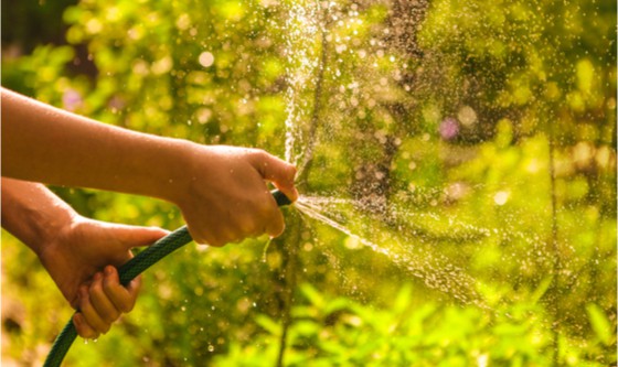 Water squirting out of a garden hose