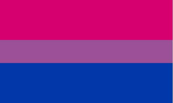 Bisexual Pride Flag