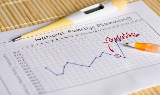 Calendar and temperature method for natural family planning 