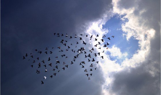 Doves flying towards a hole in the clouds