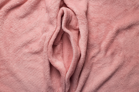 piece of cloth shaped like a vagina