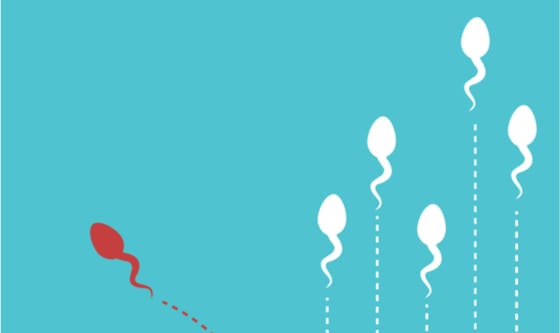 Withdrawal: not letting the sperm get near the egg