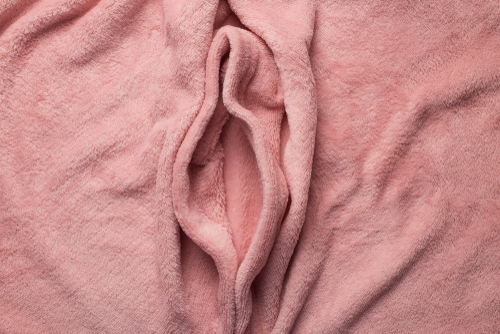 pink fabric shaped as female genital organs, vulva and labia, vagina